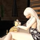 Thumb 5d6d0131d774f87254000001