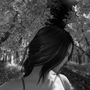 Thumb 604deb9d724cd67a0d4d624d