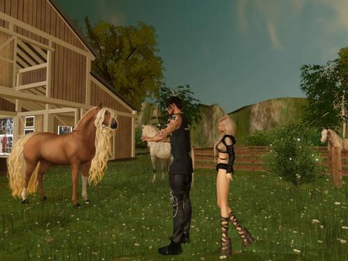 Web 5d1c95a7d9859c4492000001