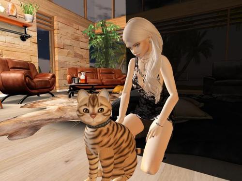 Web 5d6d0464d9859c3ef9000001