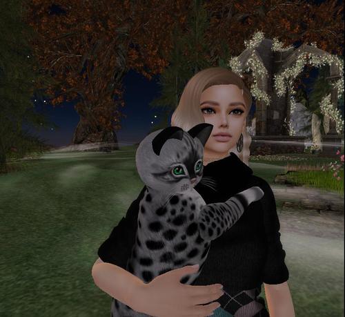 Web 5dc3df4bd774f835d0000001