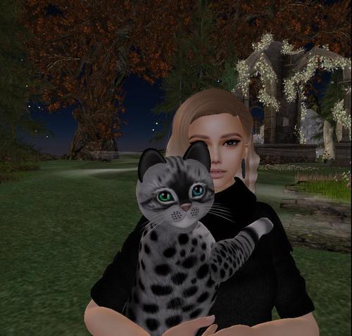 Web 5dc3df6ad9859c2cbd000001