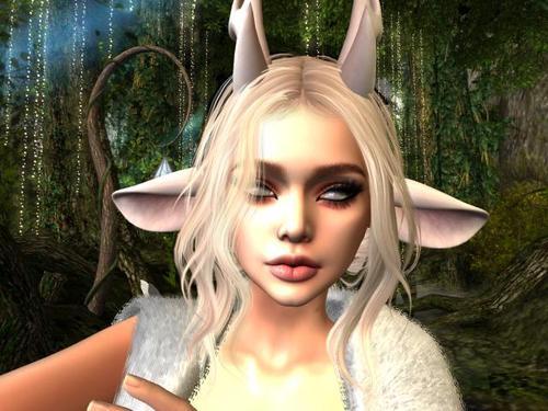 Web 6064812a14e08d0271d1459e