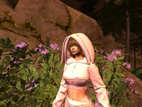 Web 6183c56afc69d609318a4028