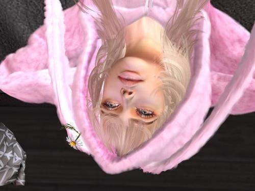 Web 6293184898366d657f423edf