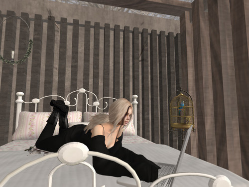 Web 638b88b3fea8565817f10322