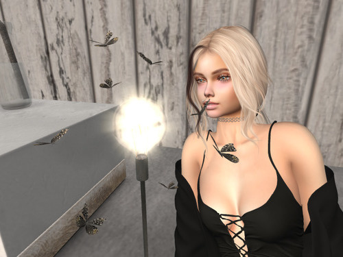 Web 638b89e5b1551b39ba5038a1