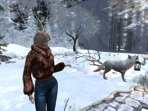 Web 6403351ded05c466c72d26bb