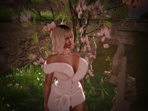 Web 64170bf205423f170c07fc00