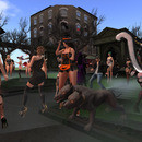 Thumb 6360302439cd52424d2ce438