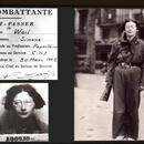 Thumb 6685a548d0ae2a4158c26005