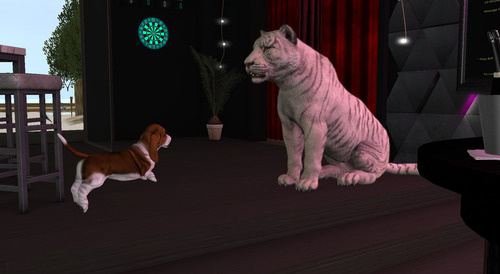 Web 6528f9e173c4f70afa2e1ed9