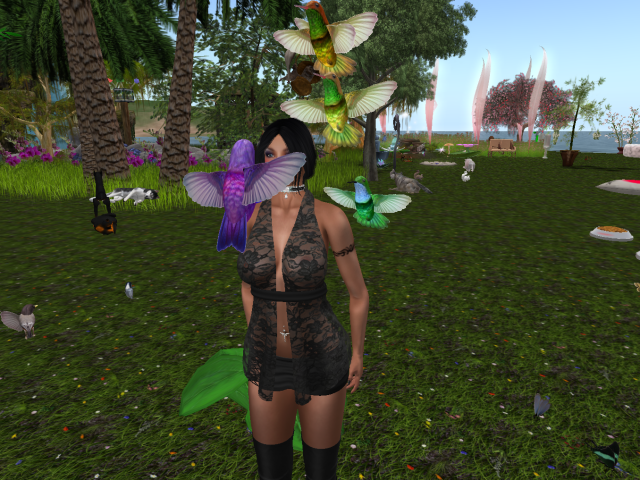 Original 59ef7e48d9859c2708000001