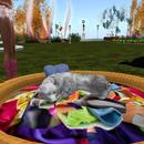 Thumb 5a134c1ed774f80e3b000001