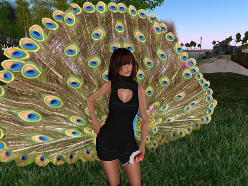 Web 58972eb5b713f75e96000001