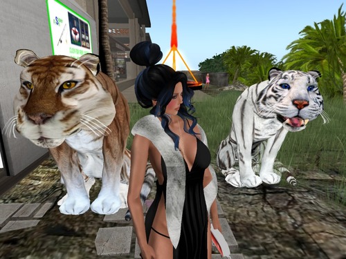 Web 5898a9a4f8a1ec273e000001