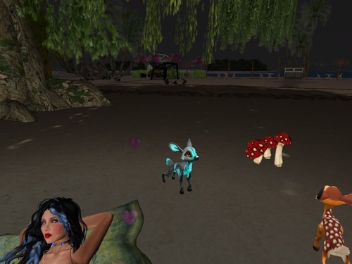 Web 58aef6d9b713f71132000001