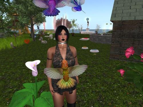 Web 59ef7e8ad774f84a88000001