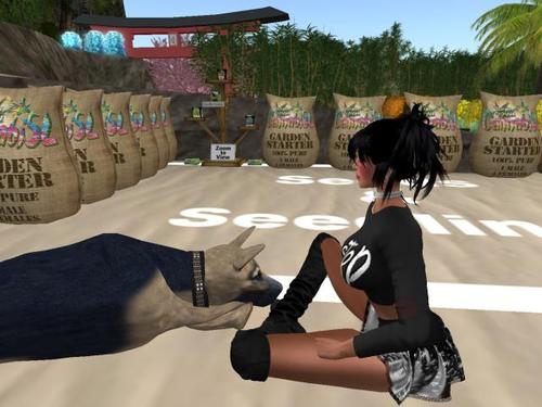 Web 5a1add7dd774f80727000001