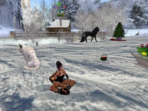 Web 5a2c6003d774f845b7000001