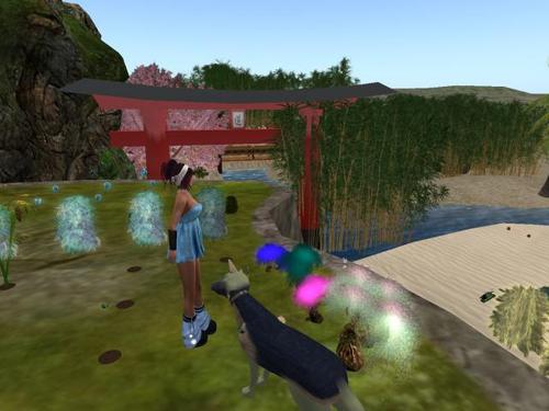 Web 5a2d7de6d774f820ec000001