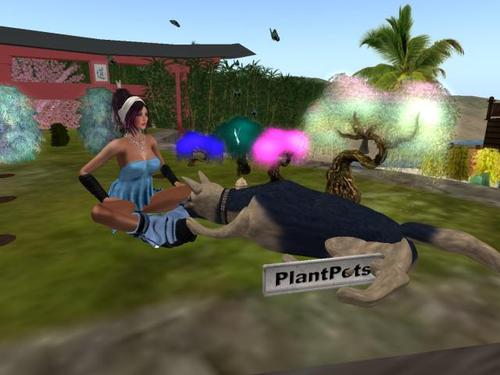 Web 5a2d7dea73ed1744ce000001