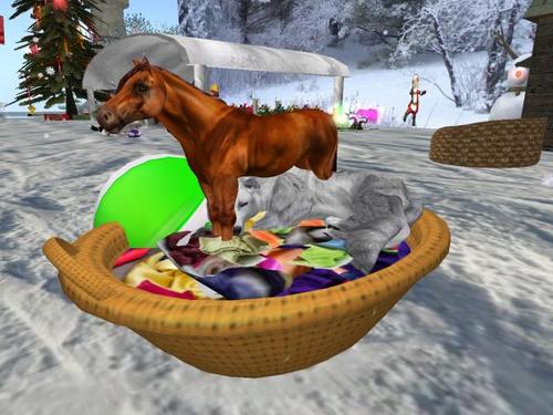 Web 5a3bbcd073ed174ee3000001