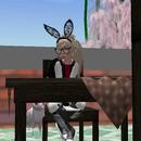 Thumb 59130ebcd774f811be000001