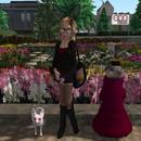 Thumb 5a2a10a373ed1726cb000001