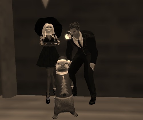 Web 58584d2ab0154049f4000001