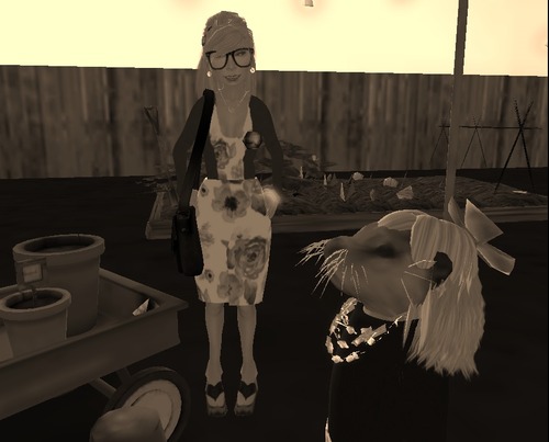 Web 58ca2cfef8a1ec3bd1000001