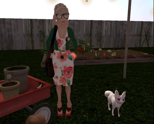 Web 58ca2d30e85cda1ae1000001