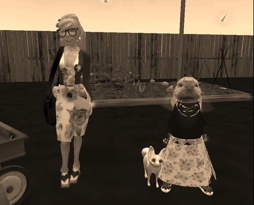 Web 58ca34f1e85cda4080000001