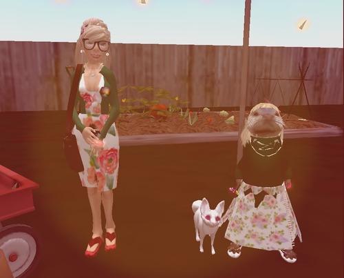 Web 58ca3567b713f7094f000001