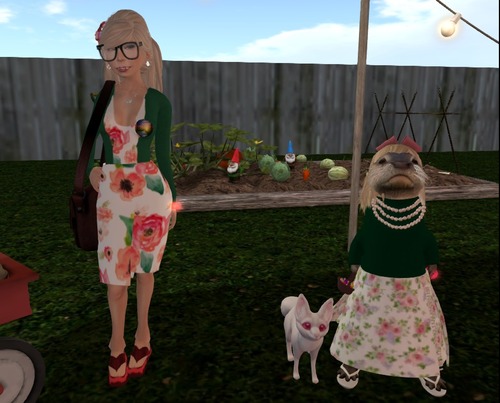 Web 58ca35a9f8a1ec5f5d000001