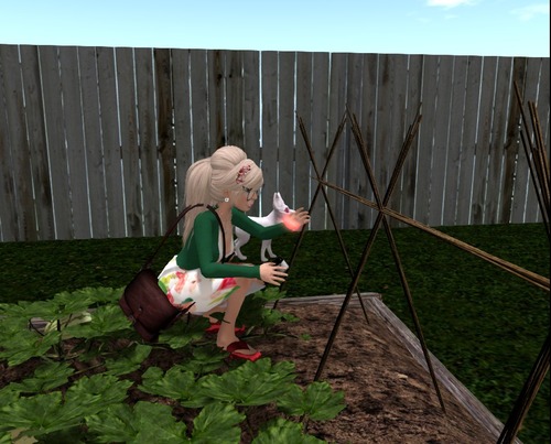 Web 58ca3e93f8a1ec0cac000001