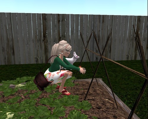 Web 58ca3ed4b01540200a000001