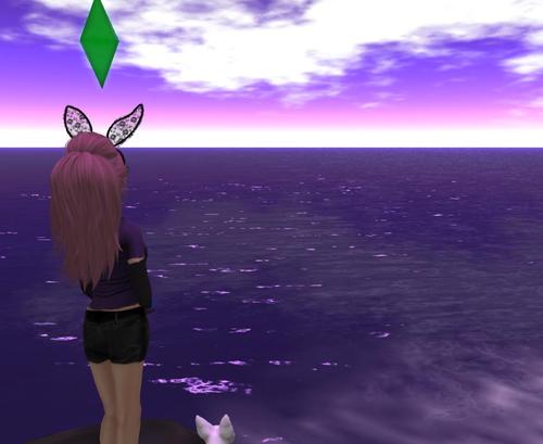 Web 592babdd289dd230da000001