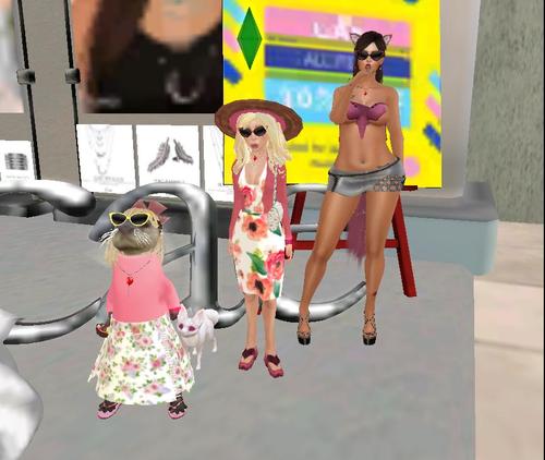 Web 5949ec75d9859c71c0000001