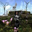 Thumb 6057bd0e1ac6f72e4dfe48dc