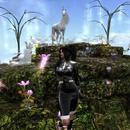 Thumb 6057bd202e1a8a0849de7604