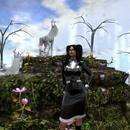 Thumb 6057bd7c2e1a8a0b43de7604