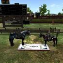 Thumb 6338a171ab005803985e31b5