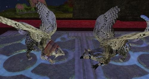 Web 633a166b65b5431341746262