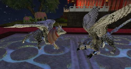 Web 633a16adab00584ef95e31b5