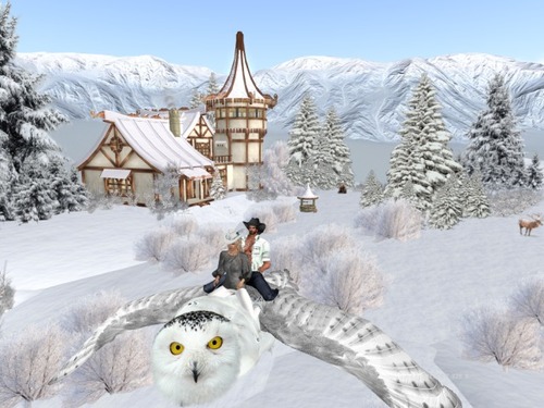 Web 577e12b4b01540516c000001