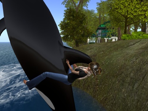 Web 589c0a5ff8a1ec6b32000001