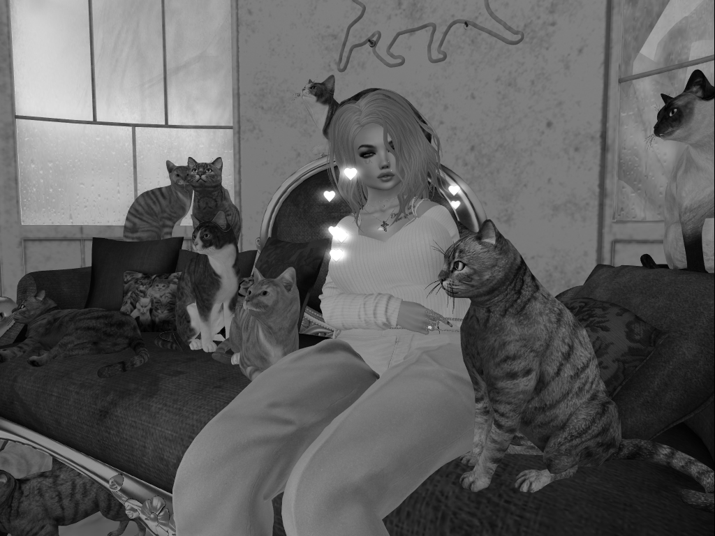 Original 5c98f438d9859c2bdc000001