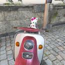 Thumb 58ecf064d774f87034000001