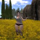 Thumb 5b06d22a289dd250e0000001